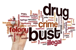 Felony drug charges Felony drug charges
