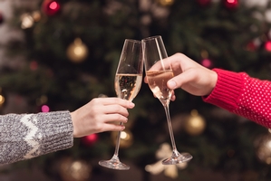 A couple Toasting In Front of Christmas Tree