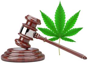 Marijuana DUI Convictions
